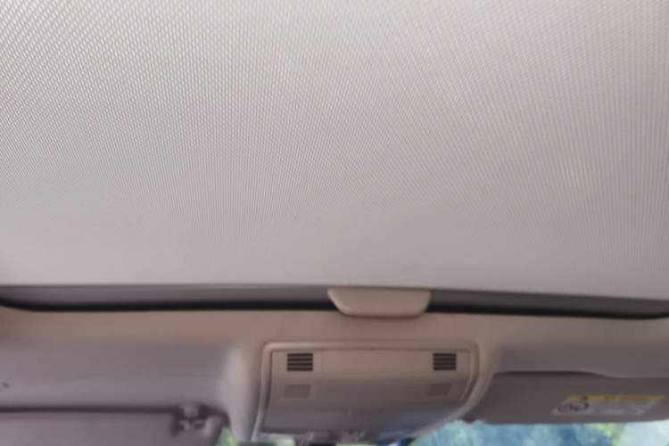 Used Volkswagen Golf 2020 Zhiai Edition 280TSI DSG Comfort Model Headliner