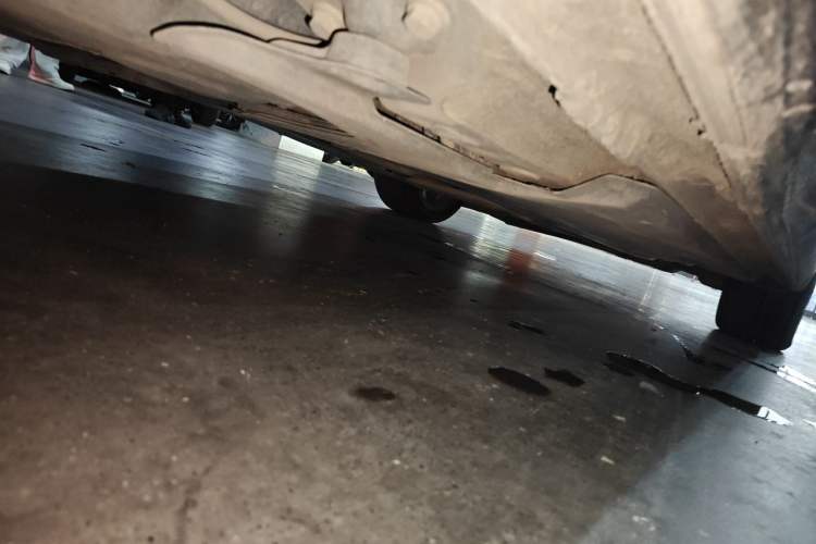 Used Volkswagen Golf 2021 280TSI DSG Pro Chassis Rear Right