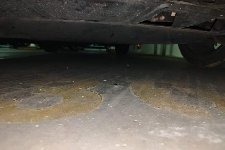 Used Volkswagen Golf 2021 280TSI DSG R-Line Chassis Front