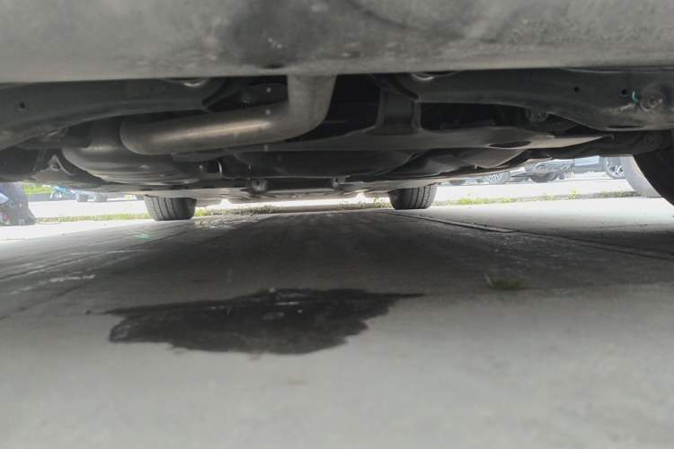 Used Volkswagen Golf 2021 280TSI DSG Pro Chassis Rear