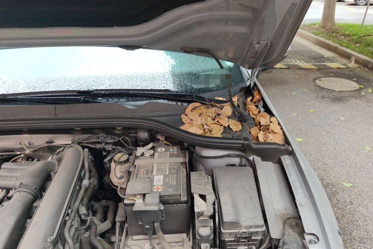 Used Volkswagen Golf 2021 280TSI DSG Pro Engine Bay Left
