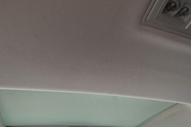 Used Volkswagen Golf 2021 280TSI DSG 30th Anniversary Edition Headliner