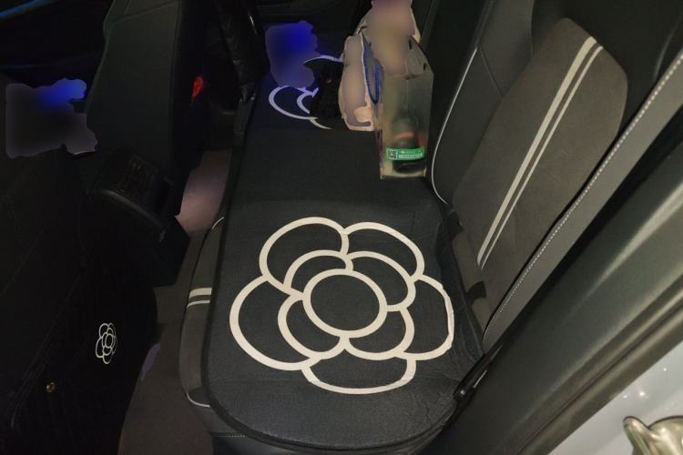 Used Volkswagen Golf 2021 280TSI DSG R-Line Left Rear Seat