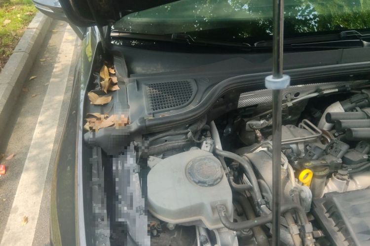 Used Volkswagen Golf 2021 280TSI DSG Pro Engine Bay Right