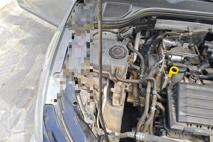 Used Volkswagen Golf 2021 280TSI DSG Pro Engine Bay Right