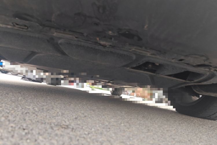 Used Volkswagen Golf 2021 280TSI DSG Pro Chassis Front