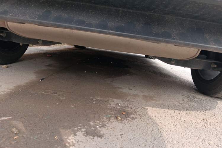 Used Volkswagen Golf 2021 280TSI DSG Pro Chassis Rear