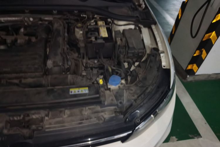 Used Volkswagen Golf 2021 280TSI DSG Pro First Edition Engine Bay Left