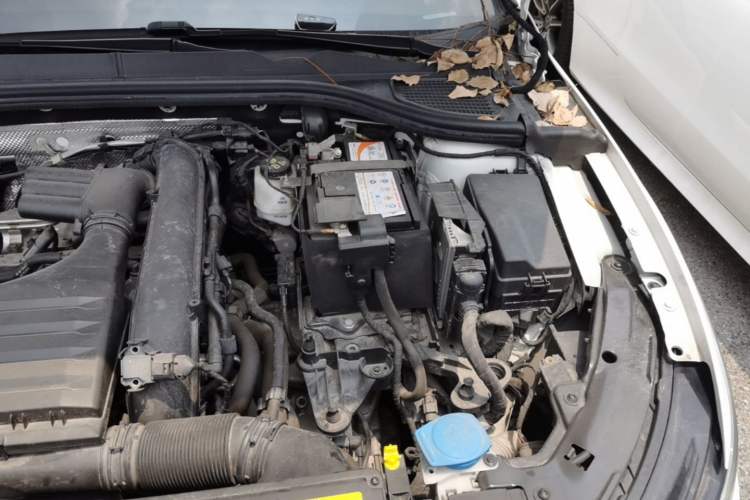 Used Volkswagen Golf 2021 280TSI DSG Pro First Edition Engine Bay Left