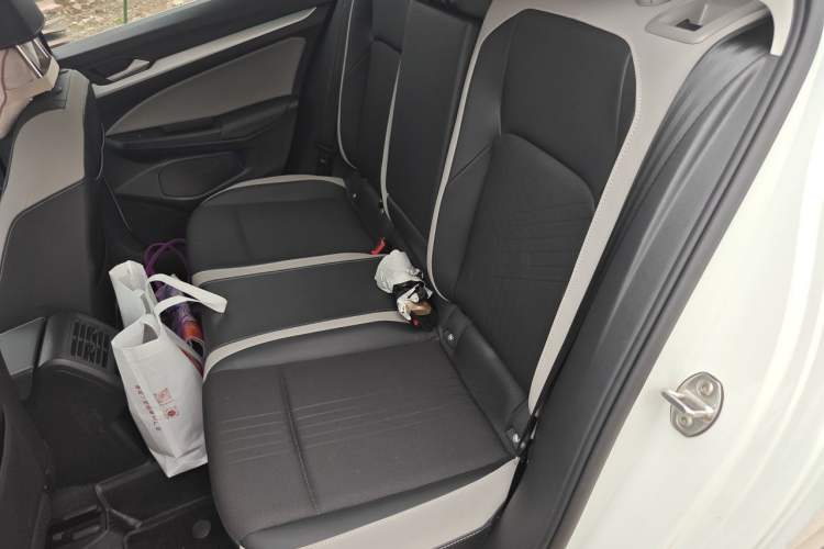 Used Volkswagen Golf 2021 280TSI DSG 30th Anniversary Edition Left Rear Seat