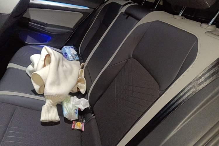 Used Volkswagen Golf 2021 280TSI DSG 30th Anniversary Edition Left Rear Seat