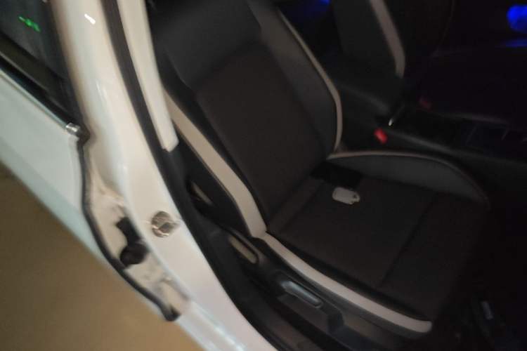 Used Volkswagen Golf 2021 280TSI DSG 30th Anniversary Edition Right Front Seat