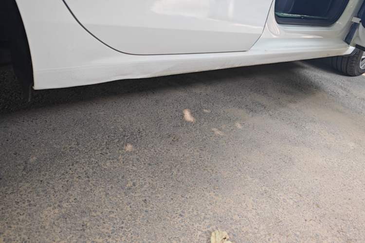 Used Volkswagen Golf 2021 280TSI DSG Pro Right Side Sill