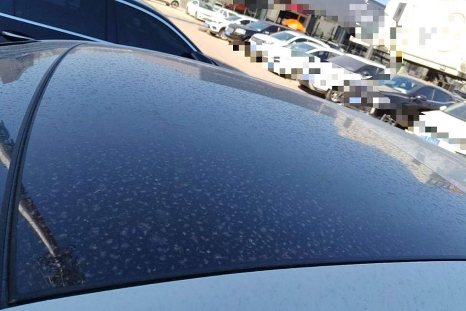 Used Volkswagen Golf 2021 280TSI DSG R-Line Roof
