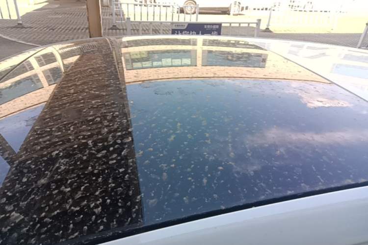 Used Volkswagen Golf 2021 280TSI DSG R-Line Roof