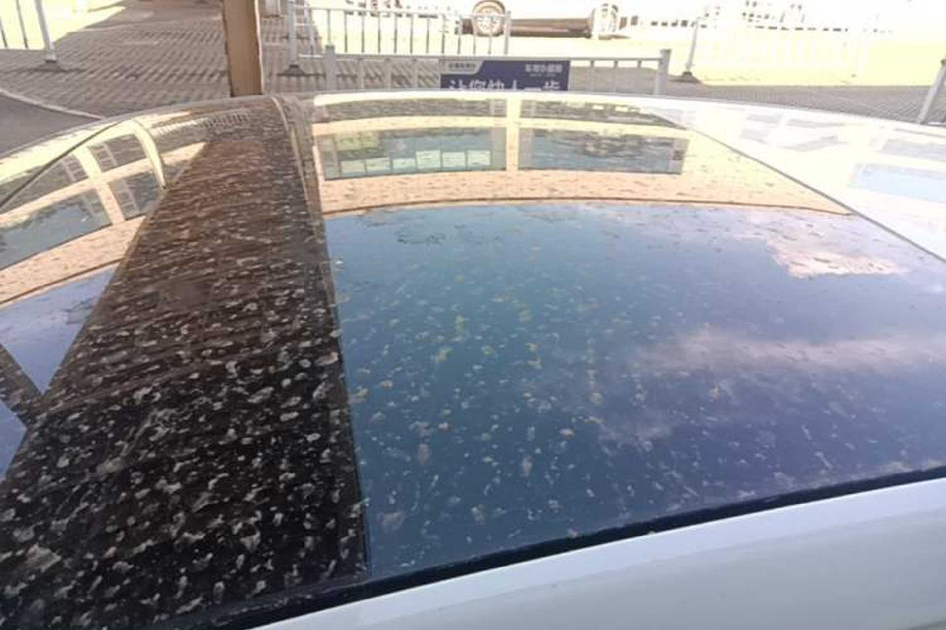 Used Volkswagen Golf 2021 280TSI DSG R-Line Roof