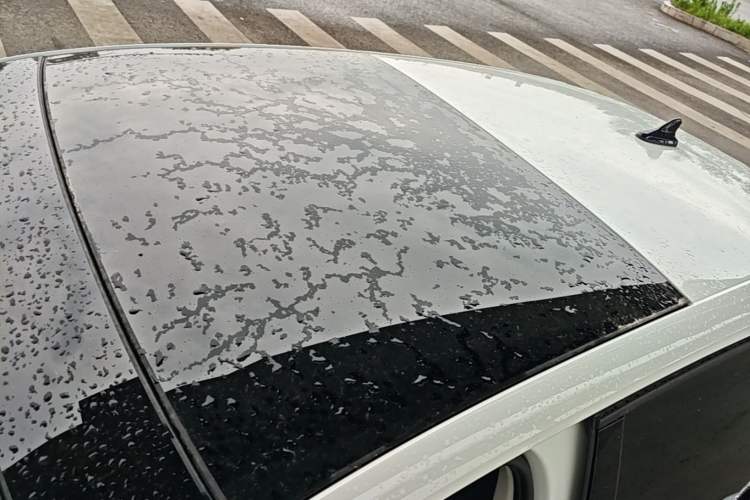 Used Volkswagen Golf 2021 280TSI DSG Pro Roof