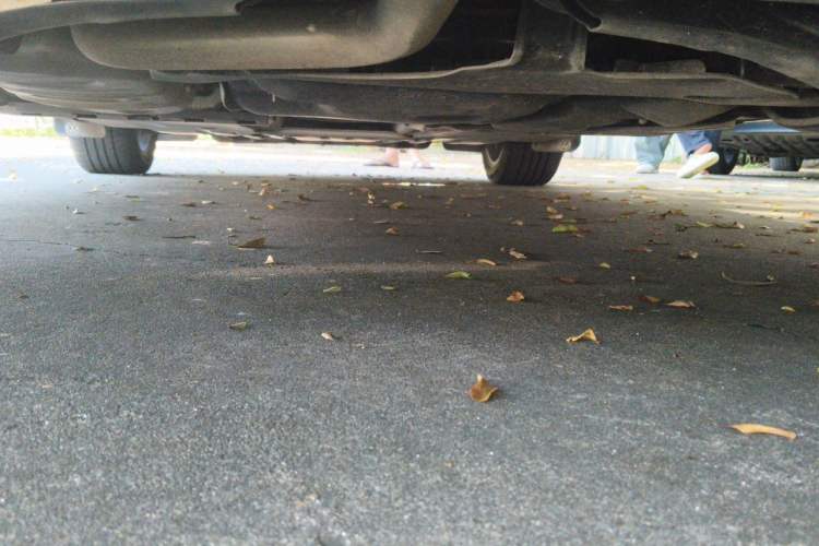 Used Volkswagen Golf 2023 280TSI DSG R-Line Lite Chassis Rear