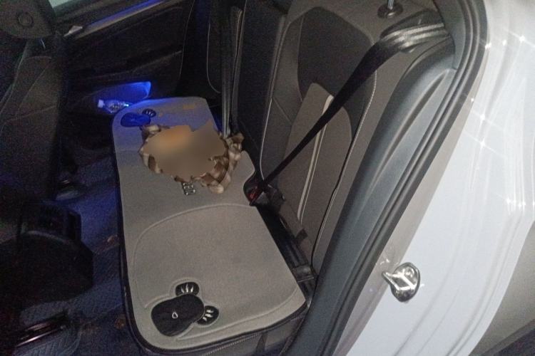 Used Volkswagen Golf 2023 280TSI DSG R-Line Left Rear Seat