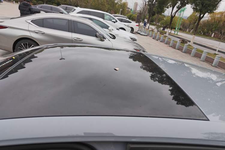 Used Volkswagen Golf 2023 280TSI DSG R-Line Lite Roof