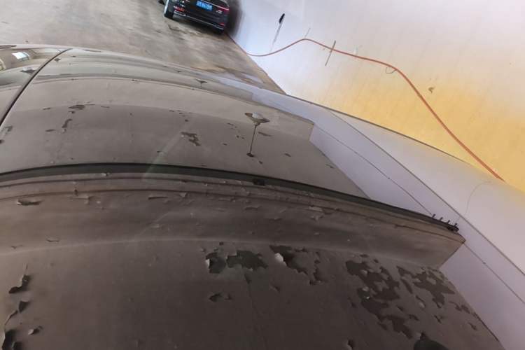 Used Volkswagen Golf 2023 280TSI DSG Pro Roof