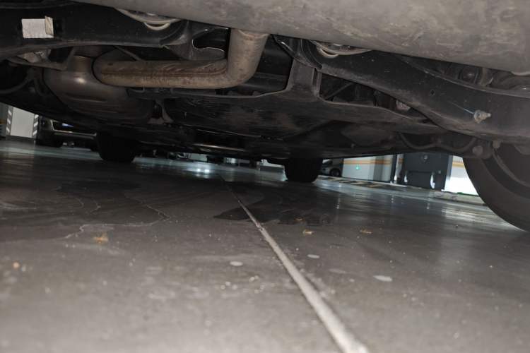 Used Volkswagen Golf 2023 Facelift 280TSI DSG R-Line Lite Chassis Rear