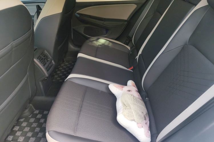 Used Volkswagen Golf 2023 280TSI DSG Pro 20th Anniversary Edition Left Rear Seat