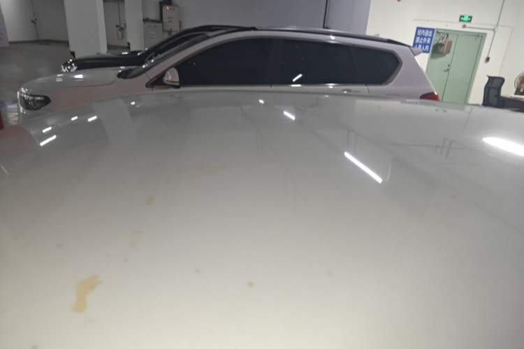 Used Volkswagen Golf 2023 200TSI DSG Roof