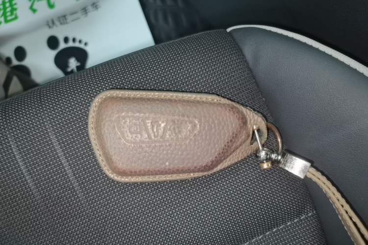 Used Volkswagen Golf 2023 Facelift 280TSI DSG Pro Vehicle Key