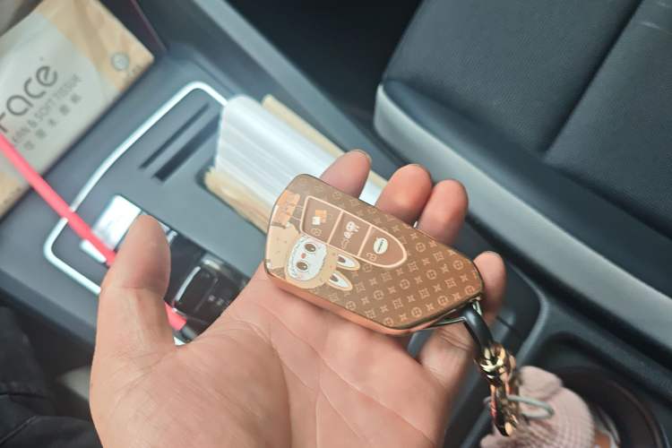 Used Volkswagen Golf 2024 280TSI DSG Pro 50th Anniversary Edition Vehicle Key