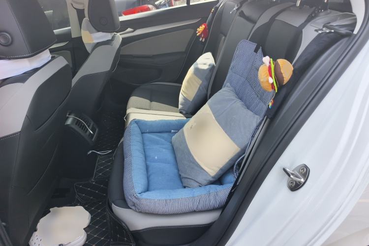 Used Volkswagen Golf 2024 280TSI DSG Pro 50th Anniversary Edition Left Rear Seat