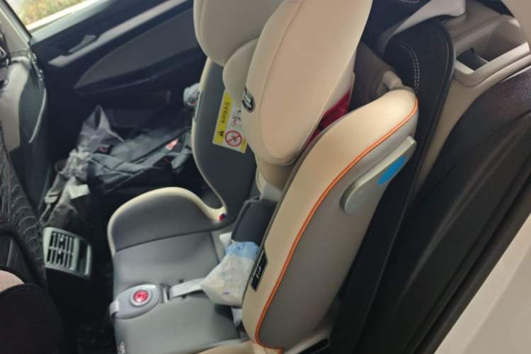 Used Volkswagen Golf 2024 280TSI DSG Pro 50th Anniversary Edition Left Rear Seat