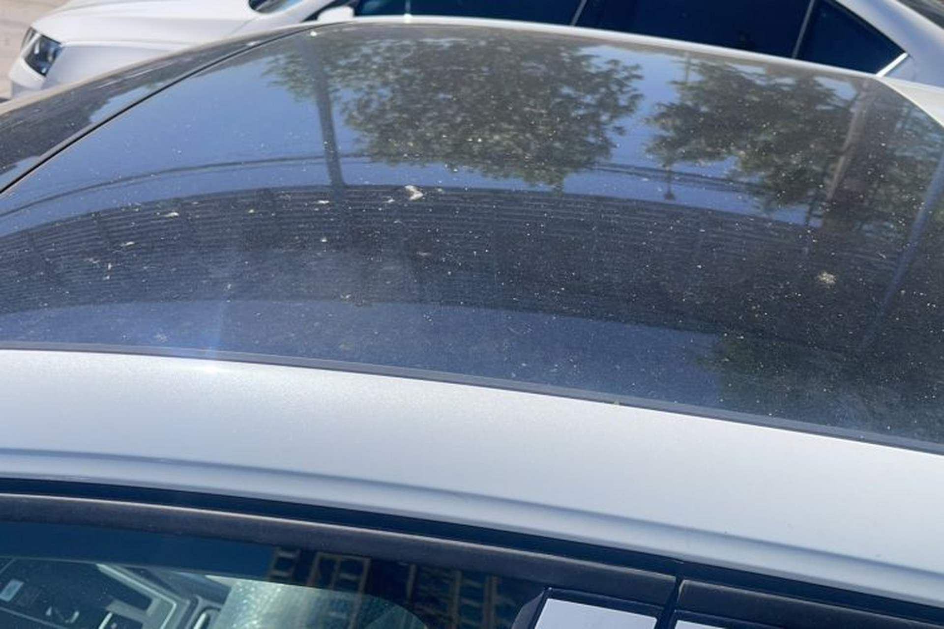 Used Volkswagen Golf 2025 300TSI R-Line Roof
