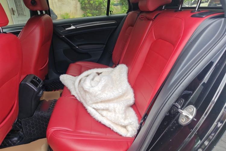 Used Volkswagen Golf GTI 2019 2.0 TSI GTI China V Standard Left Rear Seat