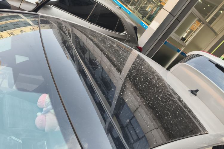 Used Volkswagen Golf GTI 2021 380TSI DSG GTI Roof