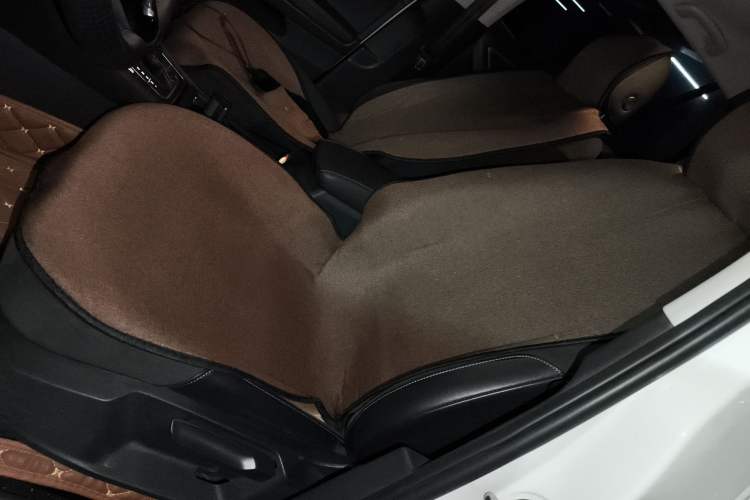 Used Volkswagen Golf Pure Electric 2020 Chari Left Front Seat