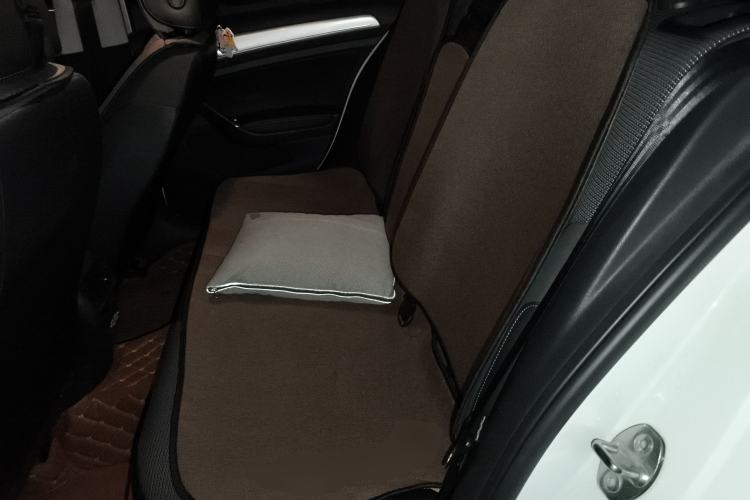 Used Volkswagen Golf Pure Electric 2020 Chari Left Rear Seat