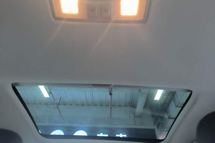 Used Volkswagen Golf Pure Electric 2020 Chariot Pro Headliner