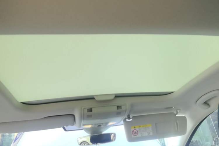 Used Volkswagen Golf Pure Electric 2020 Chariot Pro Headliner