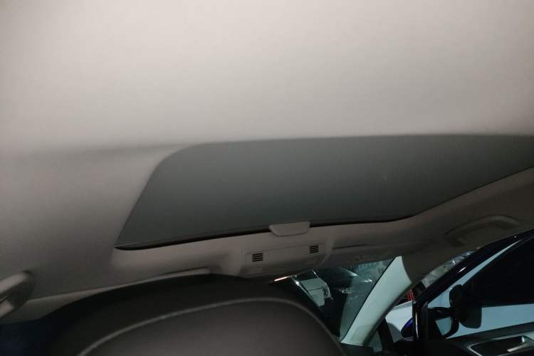 Used Volkswagen Golf Pure Electric 2020 Chariot Pro Headliner
