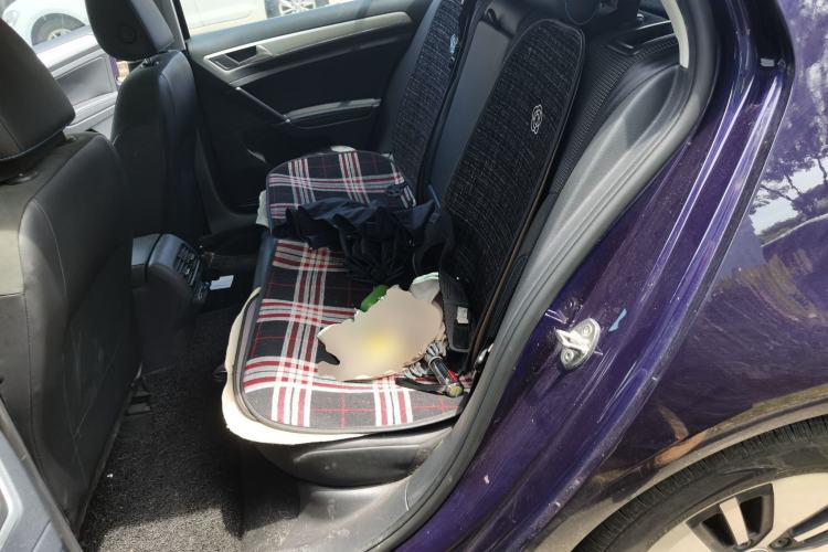 Used Volkswagen Golf Pure Electric 2020 Chari Left Rear Seat
