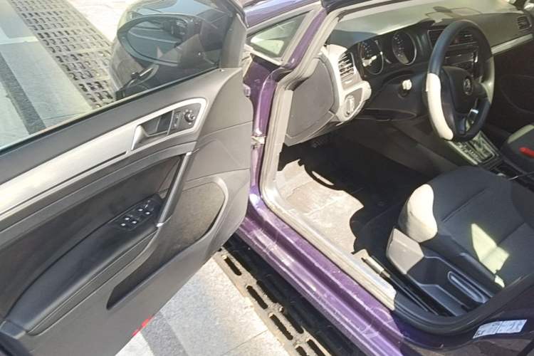 Used Volkswagen Golf Pure Electric 2020 Chari Driver Seat