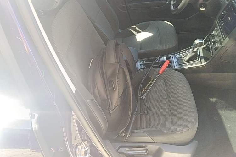 Used Volkswagen Golf Pure Electric 2020 Chari Right Front Seat