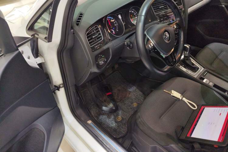 Used Volkswagen Golf Pure Electric 2020 Chari Driver Seat