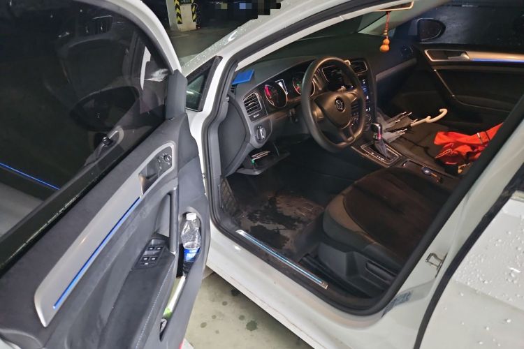 Used Volkswagen Golf Pure Electric 2020 Chari Driver Seat