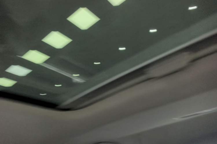 Used Volkswagen Golf Pure Electric 2020 Chari Headliner