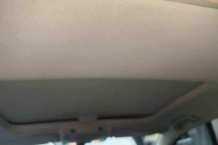 Used Volkswagen Golf Pure Electric 2020 Chari Headliner