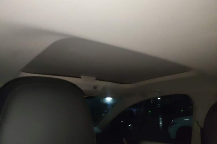 Used Volkswagen Golf Pure Electric 2020 Chari Headliner