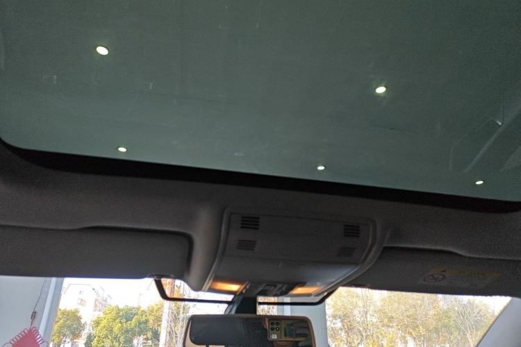 Used Volkswagen Golf Pure Electric 2020 Chari Headliner