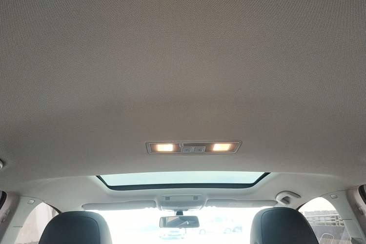 Used Volkswagen Golf Pure Electric 2020 Chari Headliner